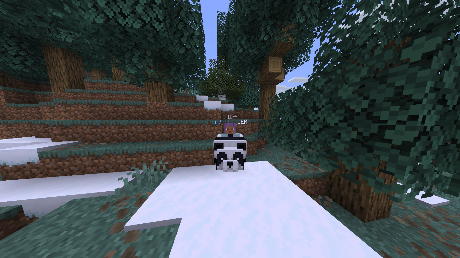 panda.png